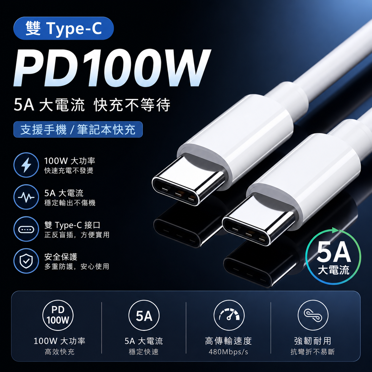 RG3C 5A 快充線 type-c 100W 充電線 傳輸線 type-c to type-c 
